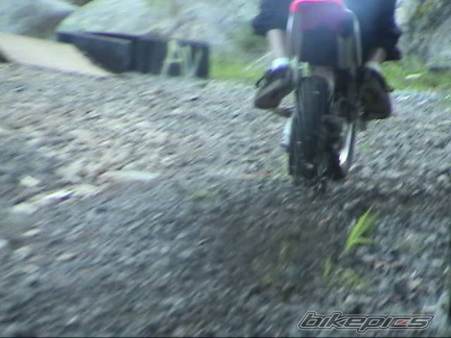 Photo 206387