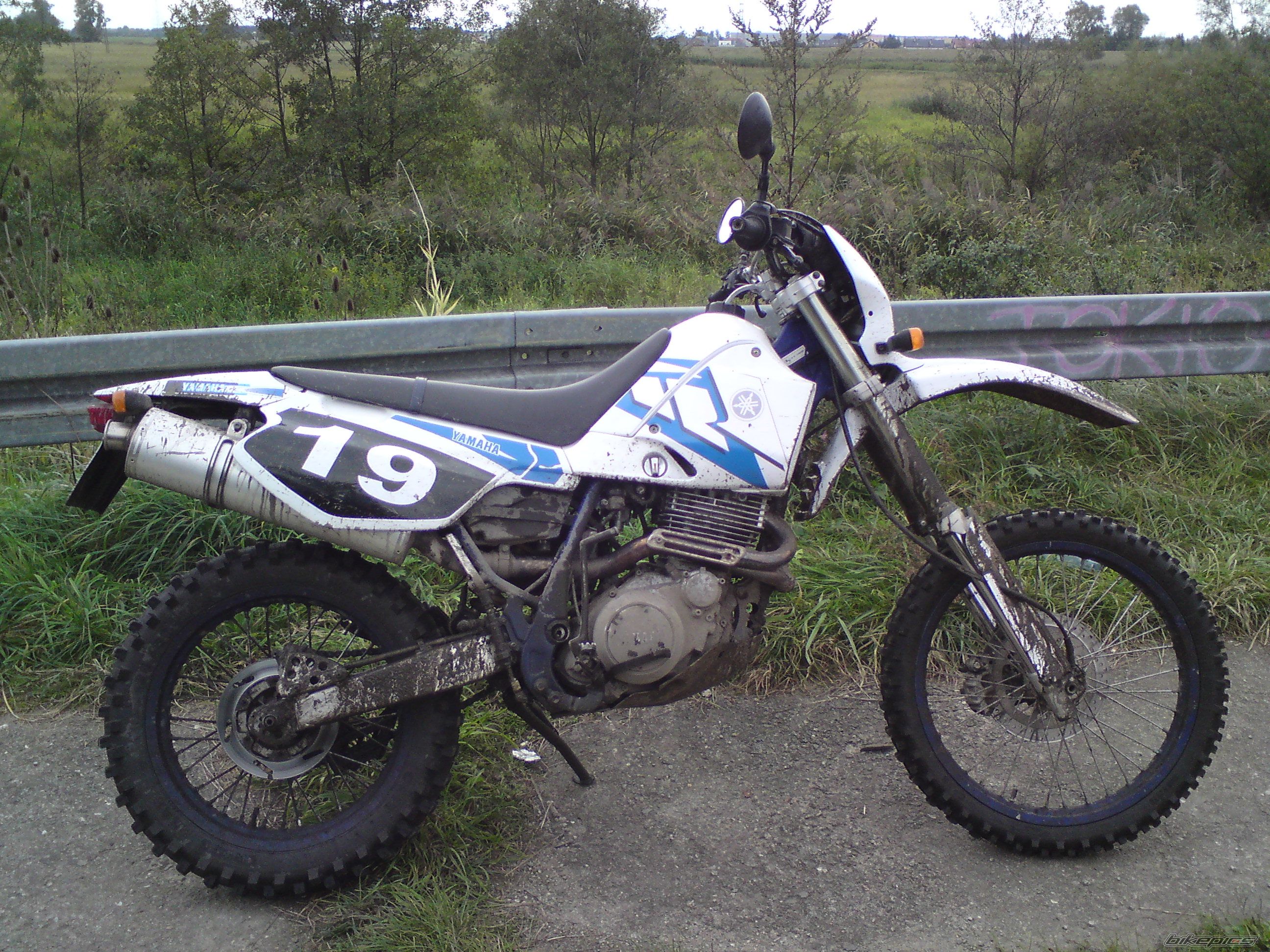 Photo 2063870