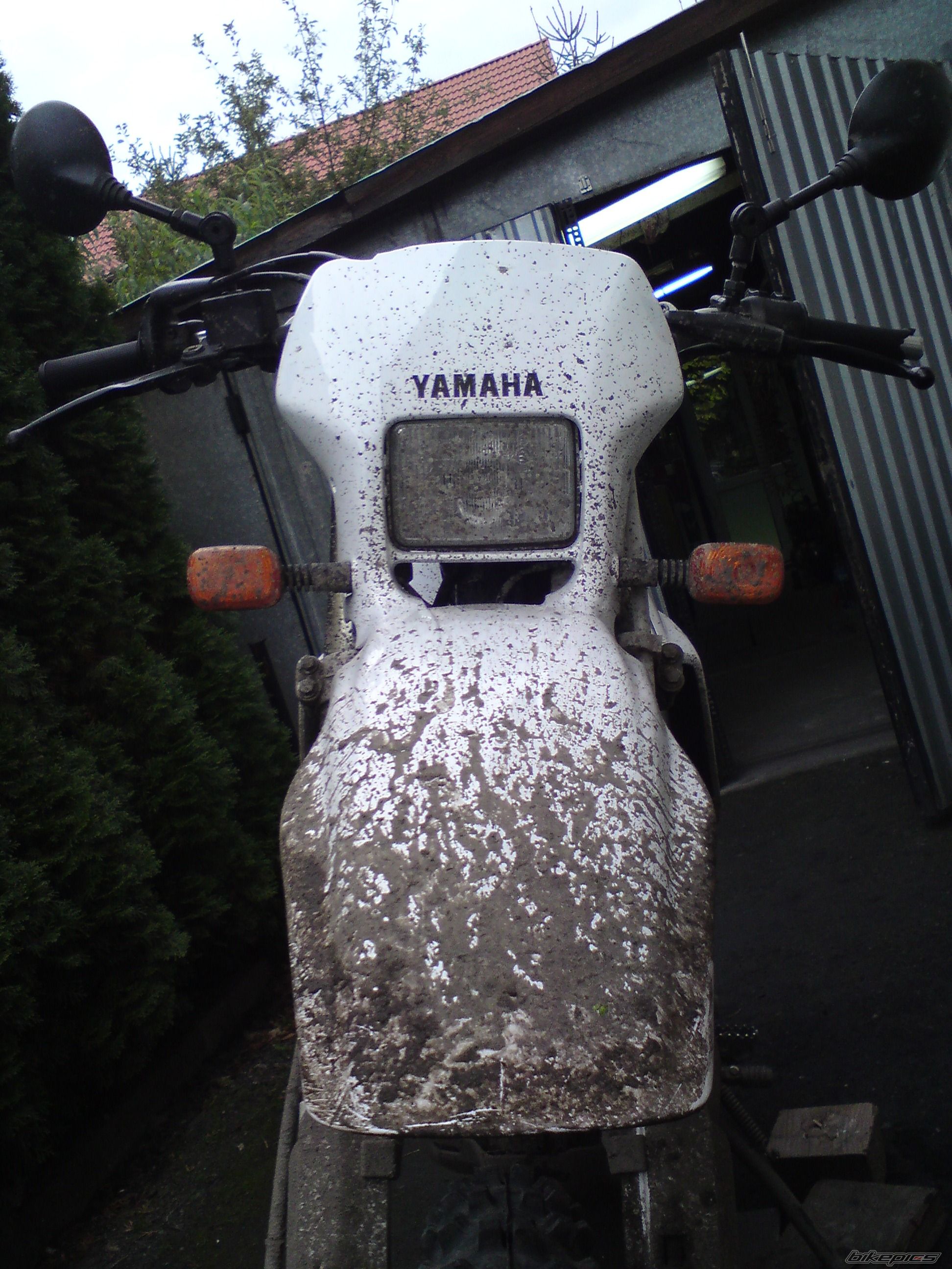 Photo 2063872