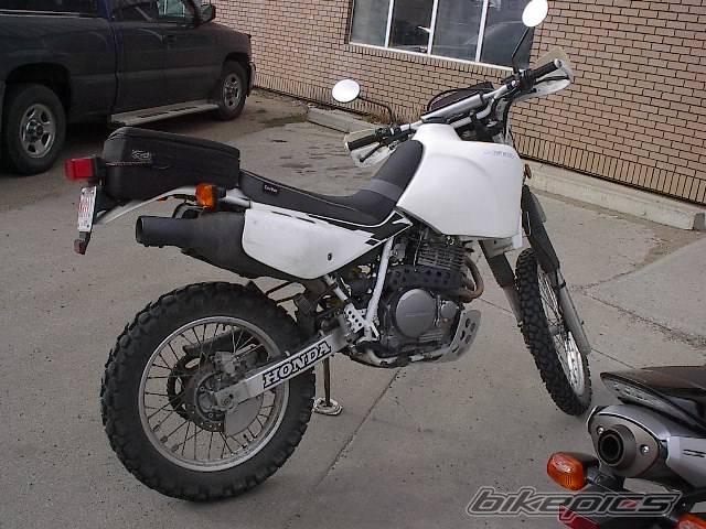 Photo 206396