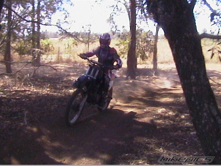 Photo 206423