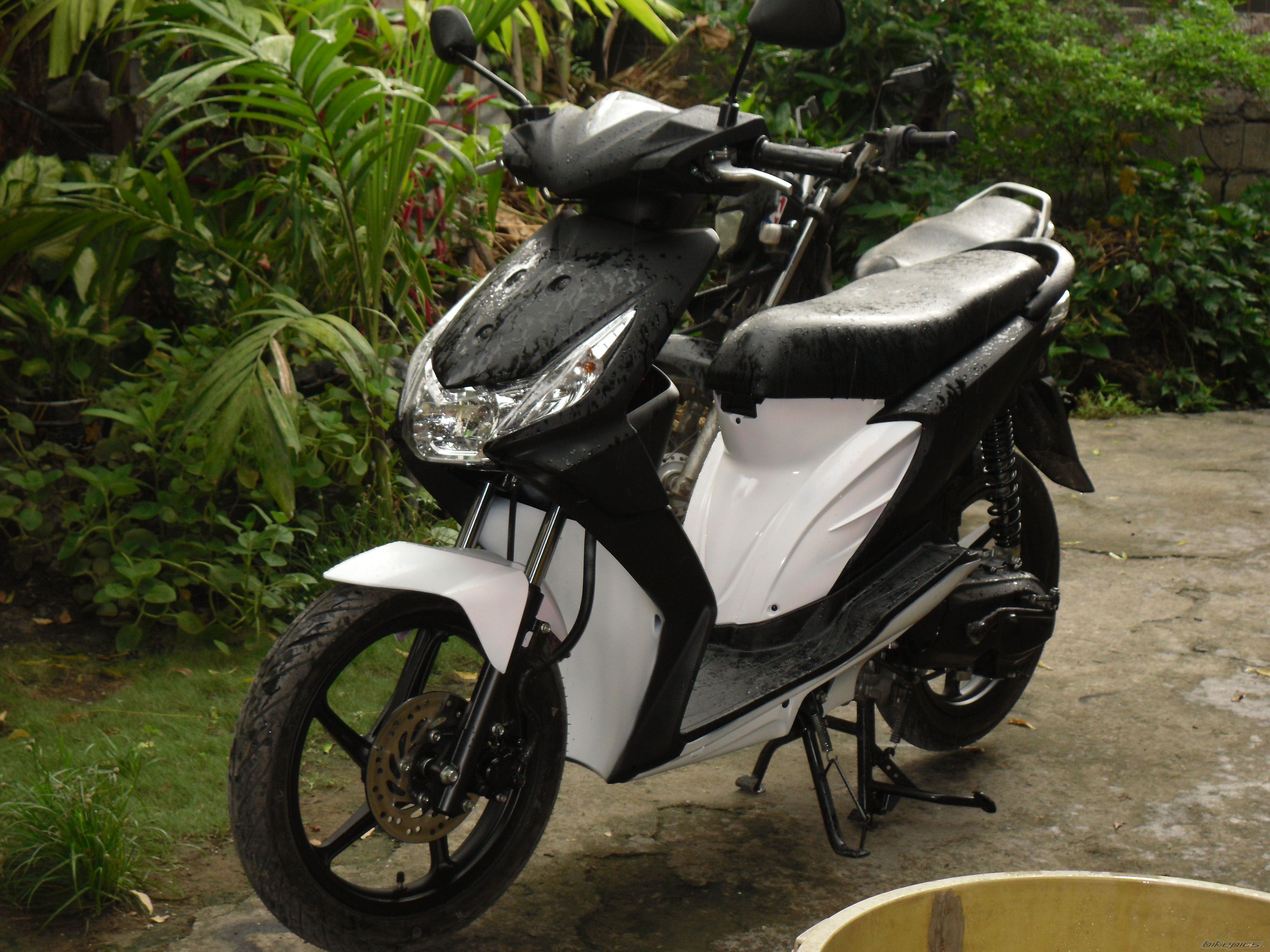 Photo 2064255