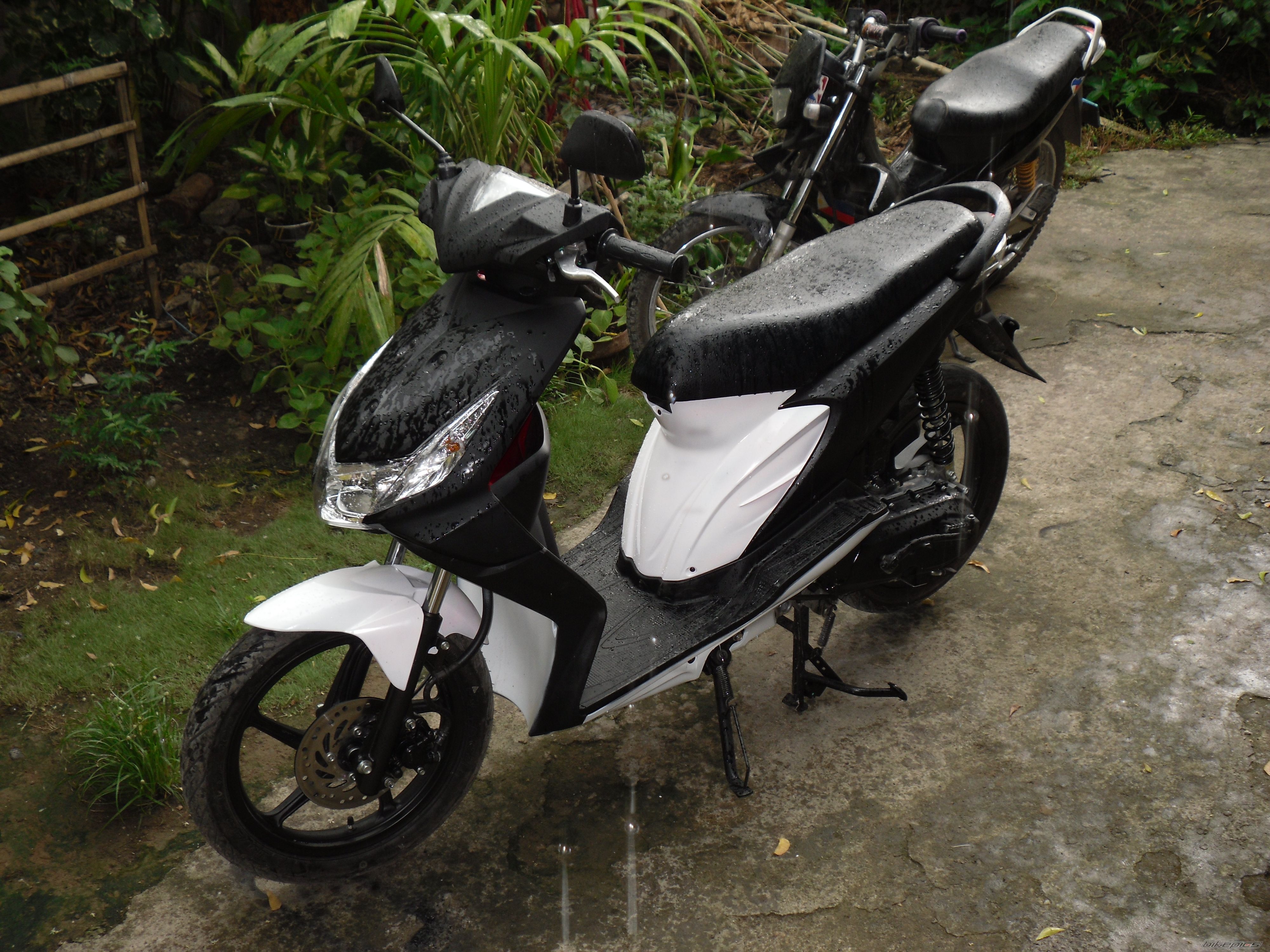 Photo 2064259