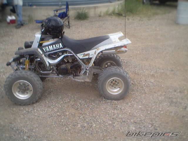 Photo 20643
