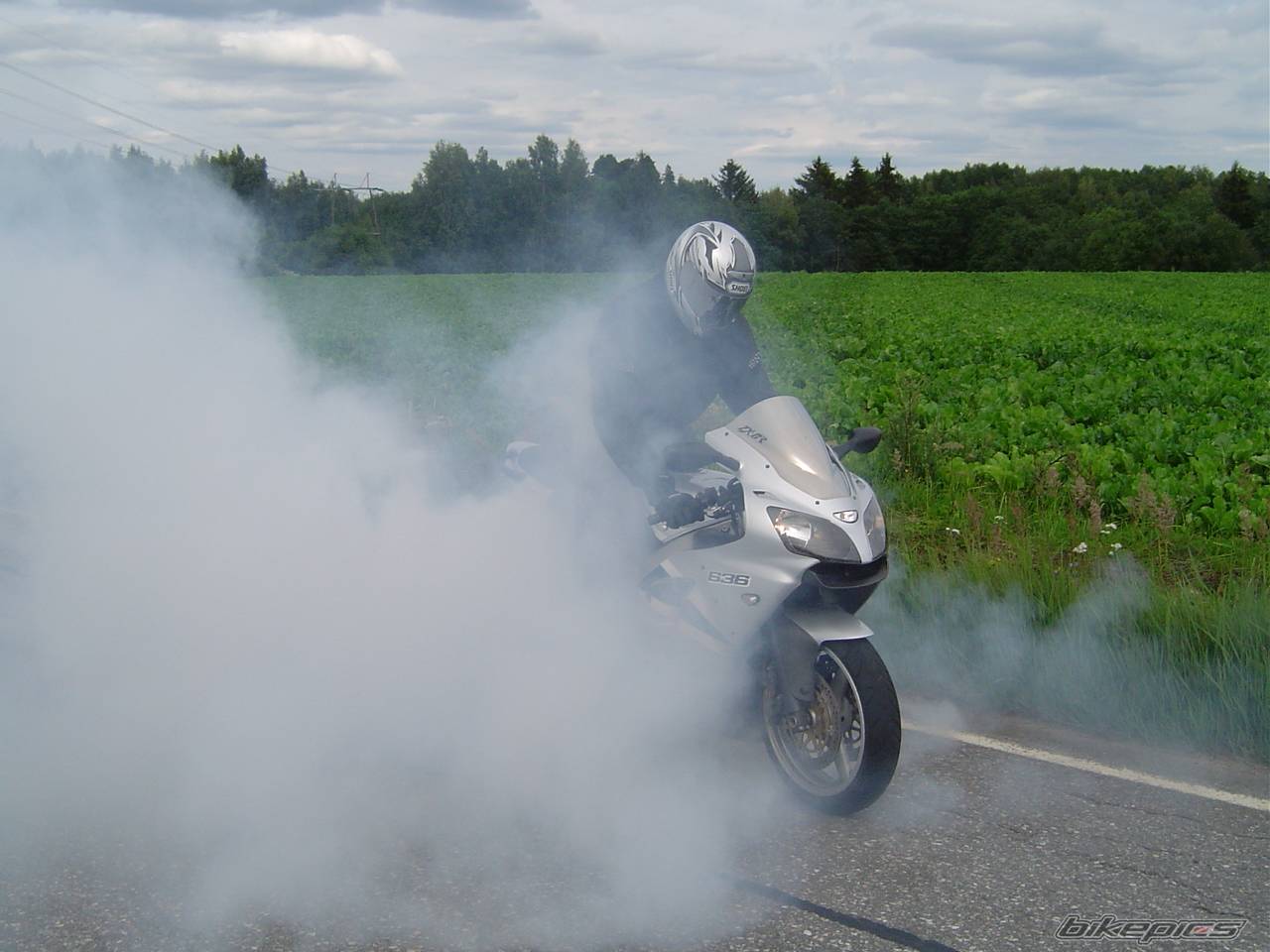 Photo 206442