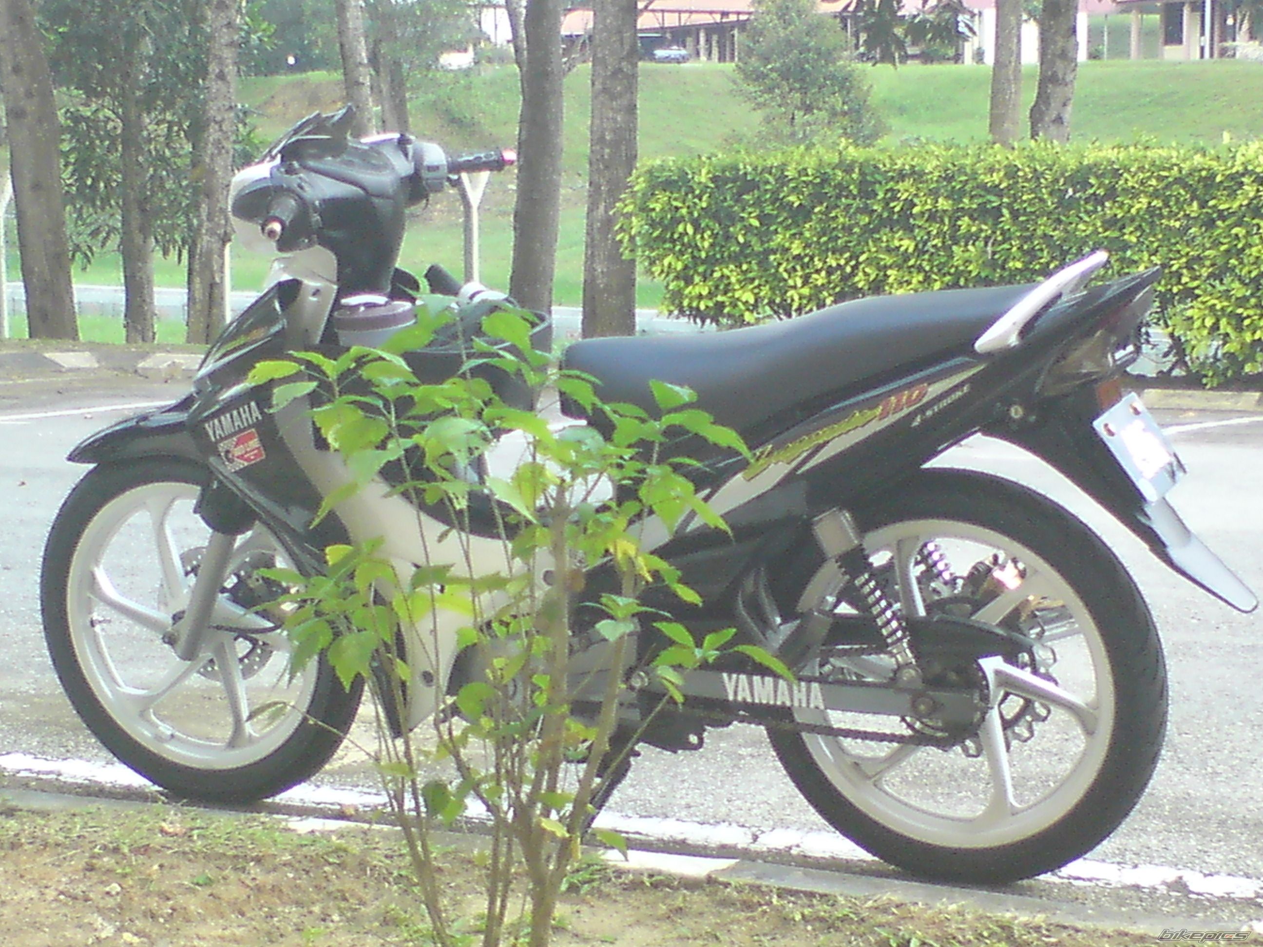 Photo 2064452