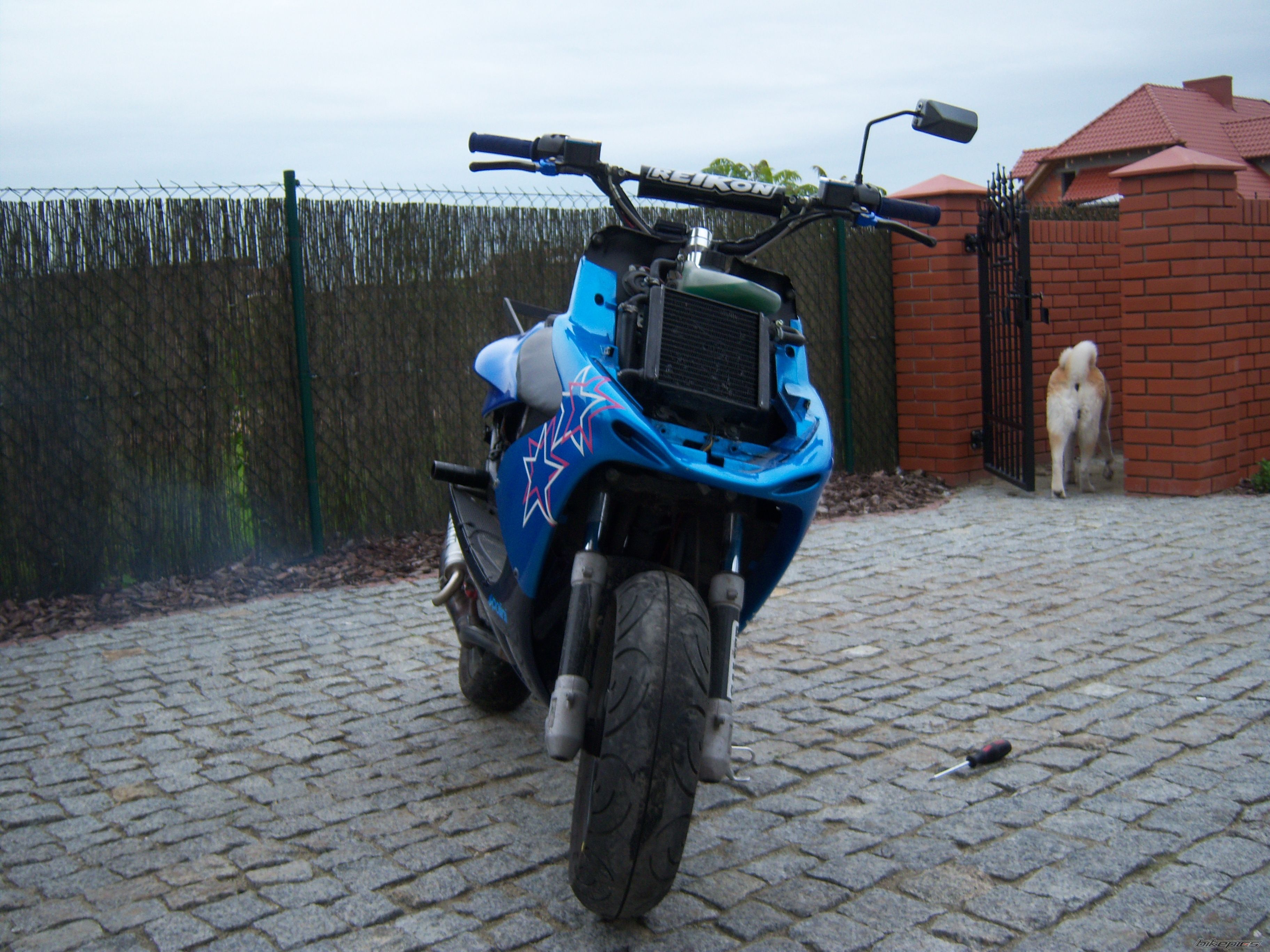 Photo 2064615