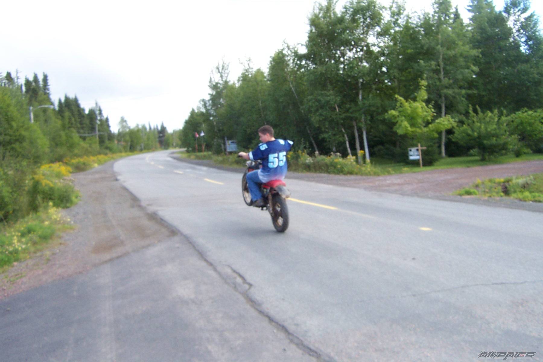 Photo 206469
