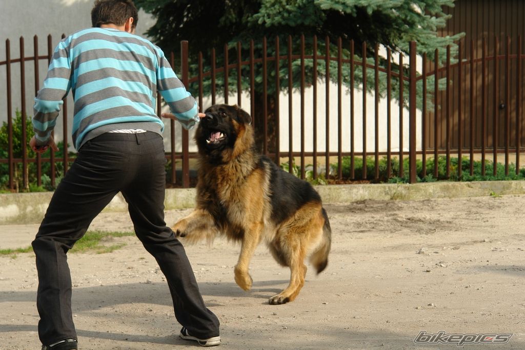 Photo 2064783