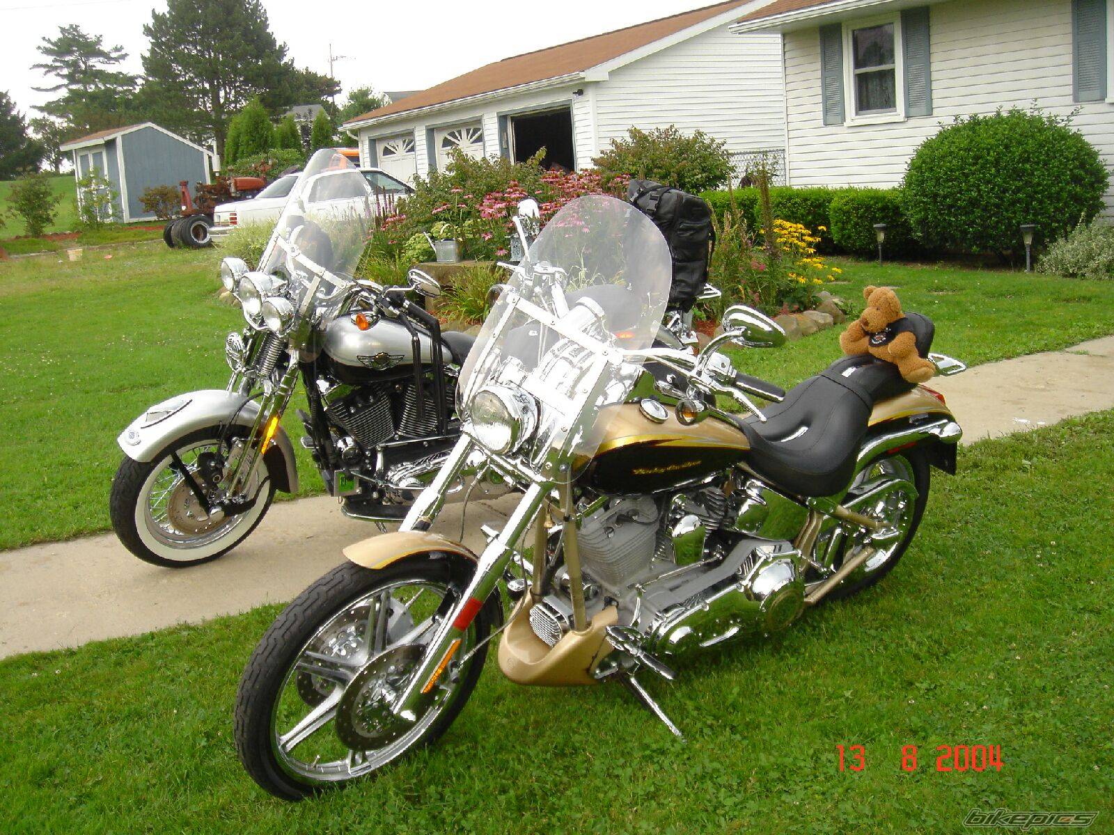Photo 206499