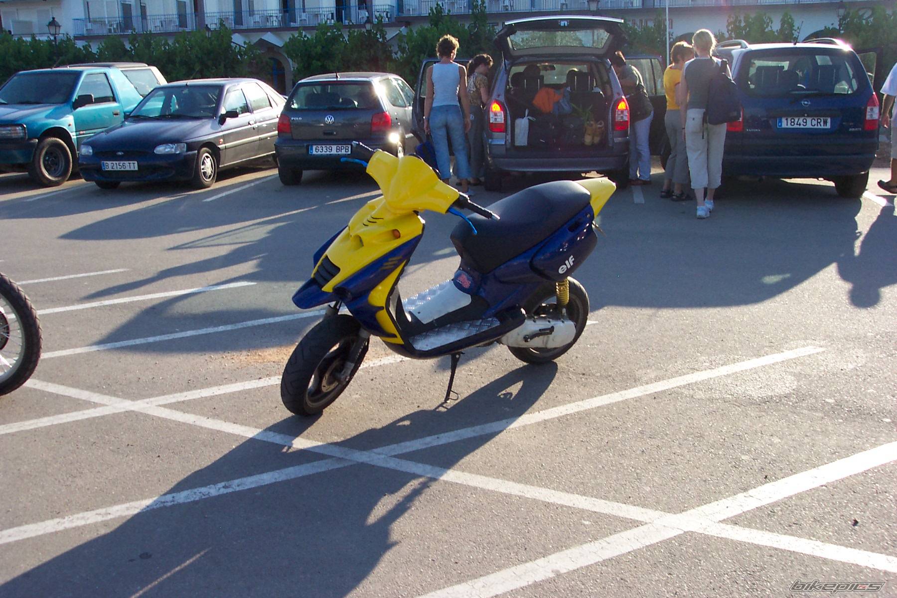 Photo 206501