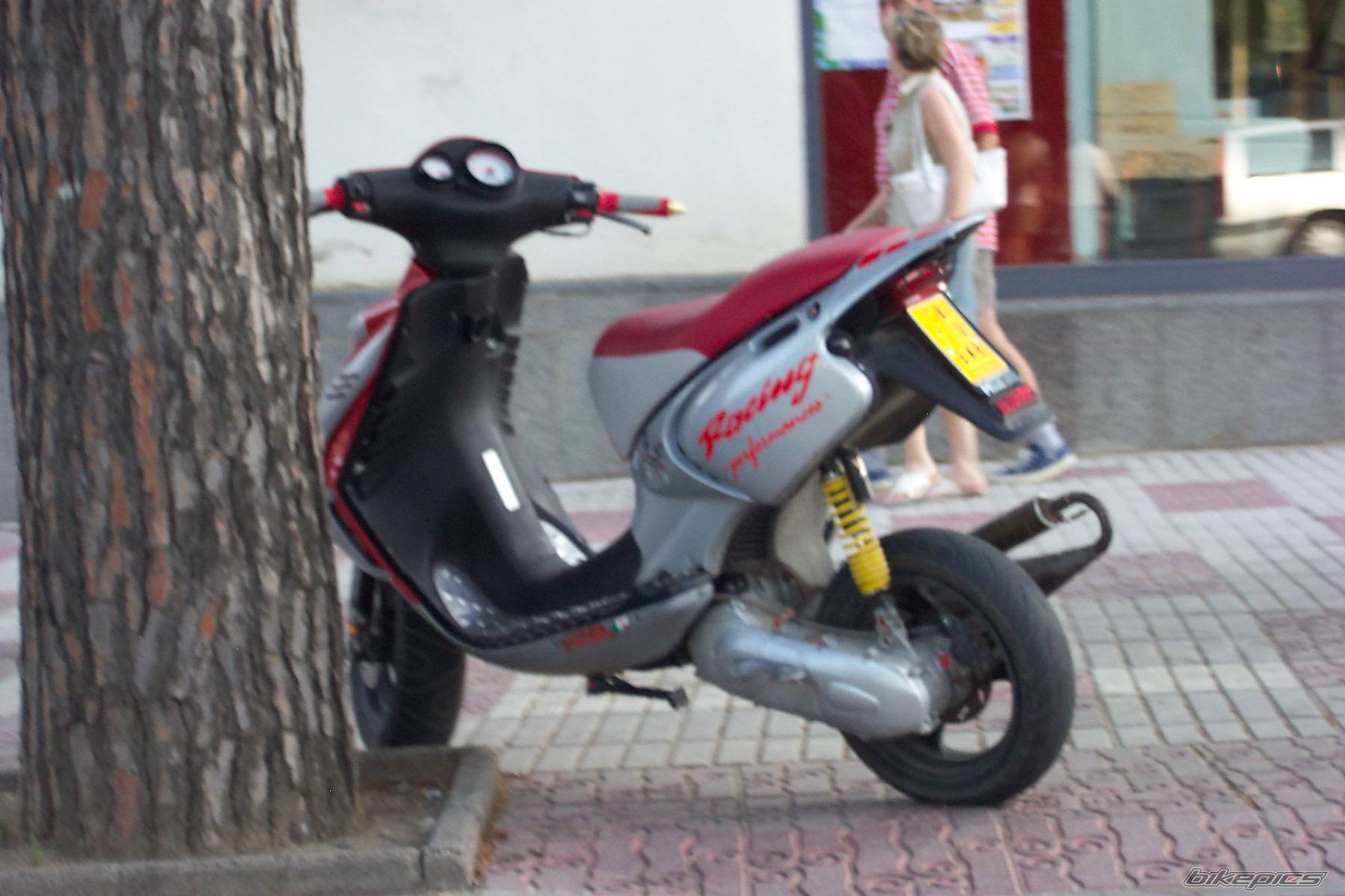 Photo 206502