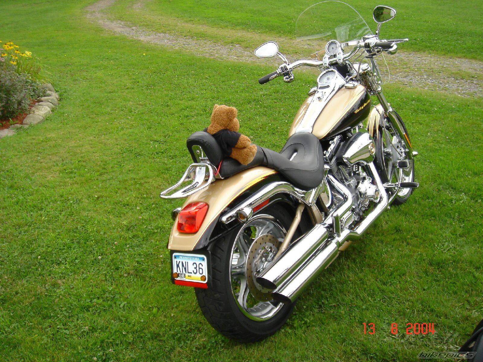 Photo 206506