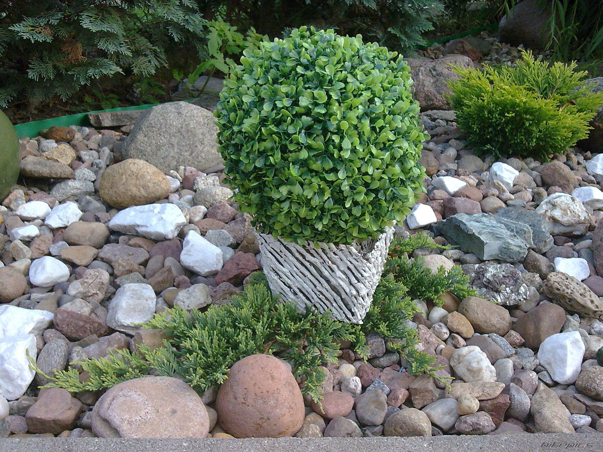 Photo 2065209