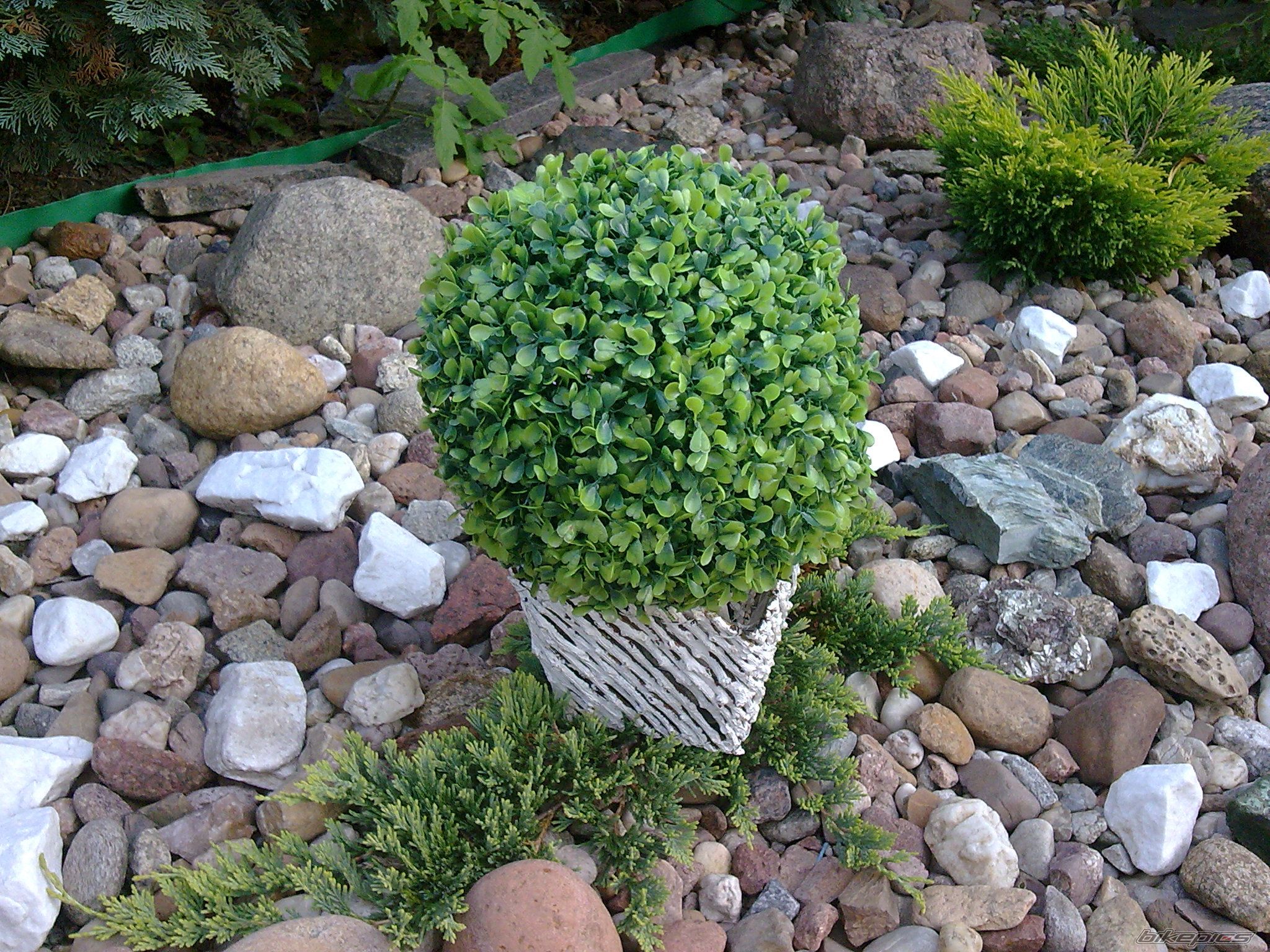 Photo 2065213