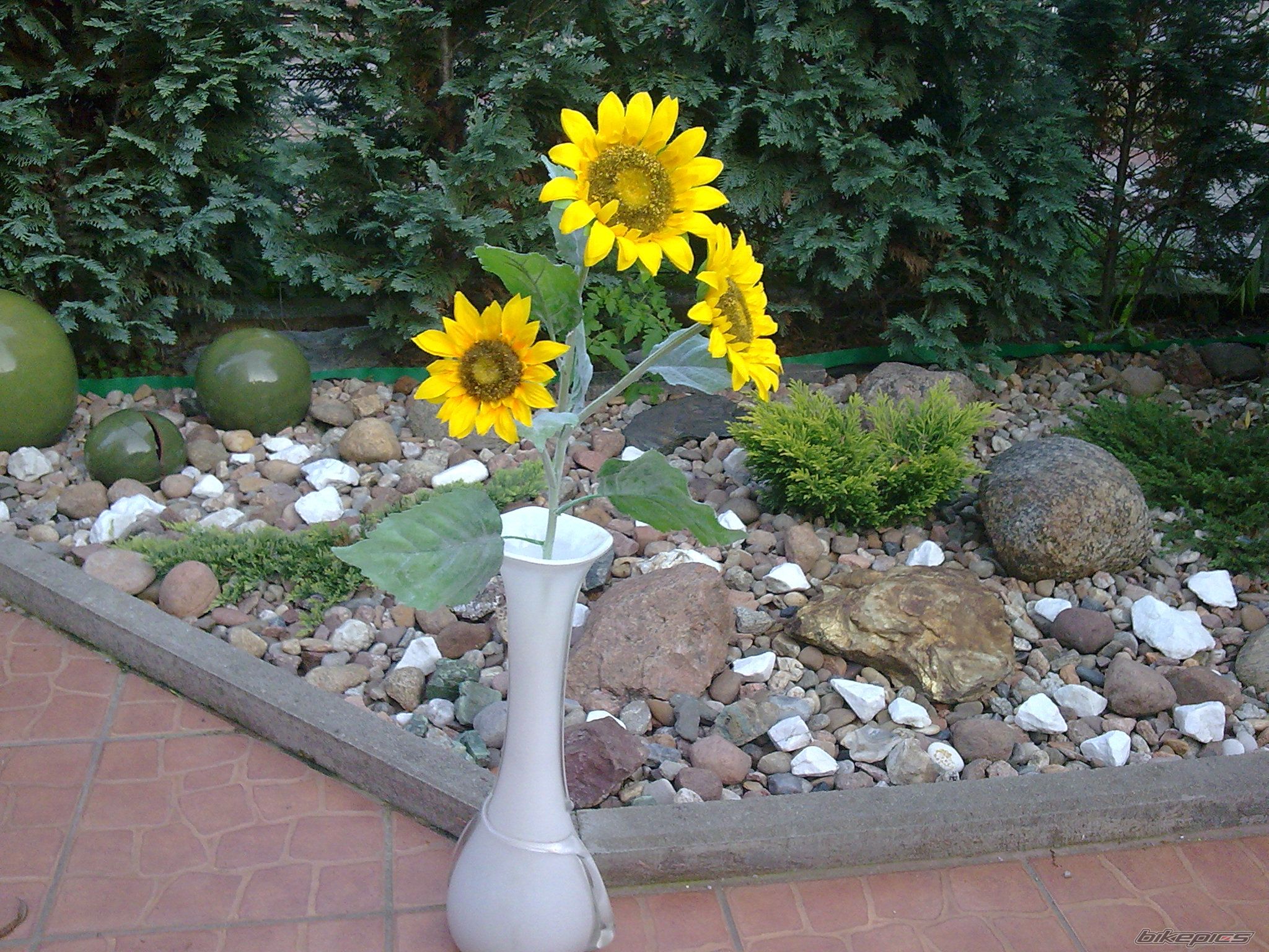 Photo 2065216