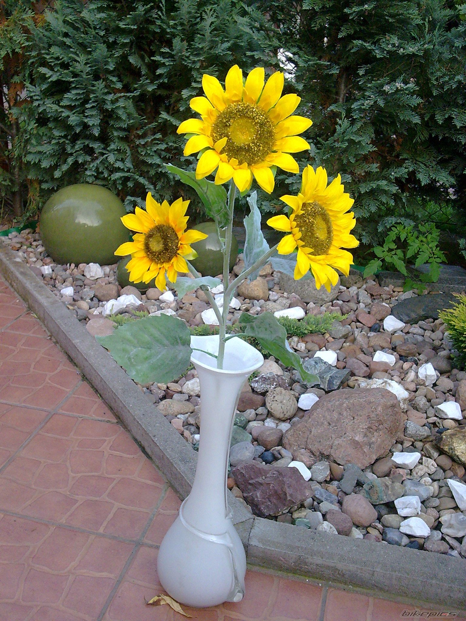 Photo 2065228