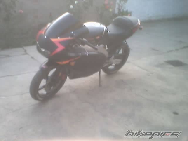 Photo 206527