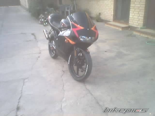 Photo 206528