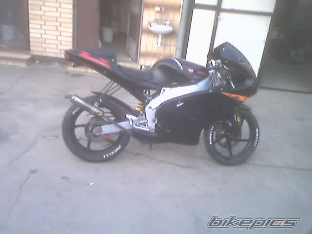 Photo 206529