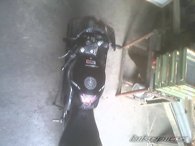 Photo 206530