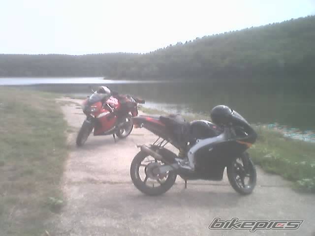 Photo 206539