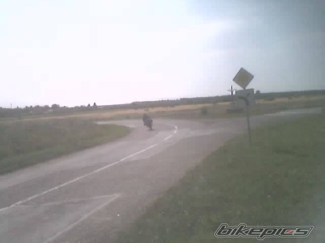 Photo 206540