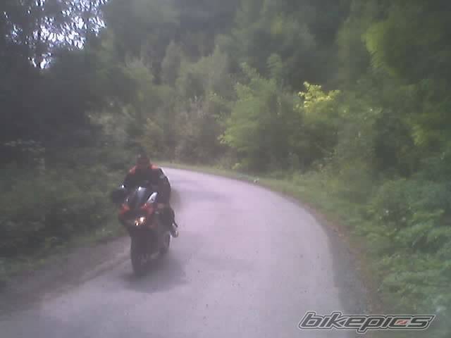 Photo 206543