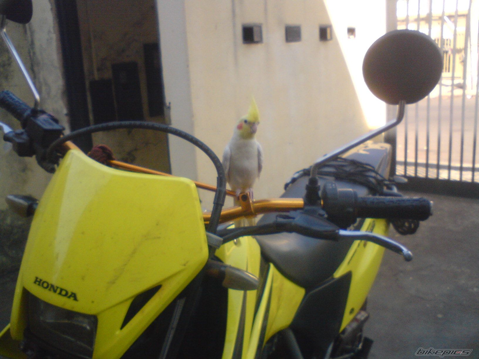 Photo 2065475