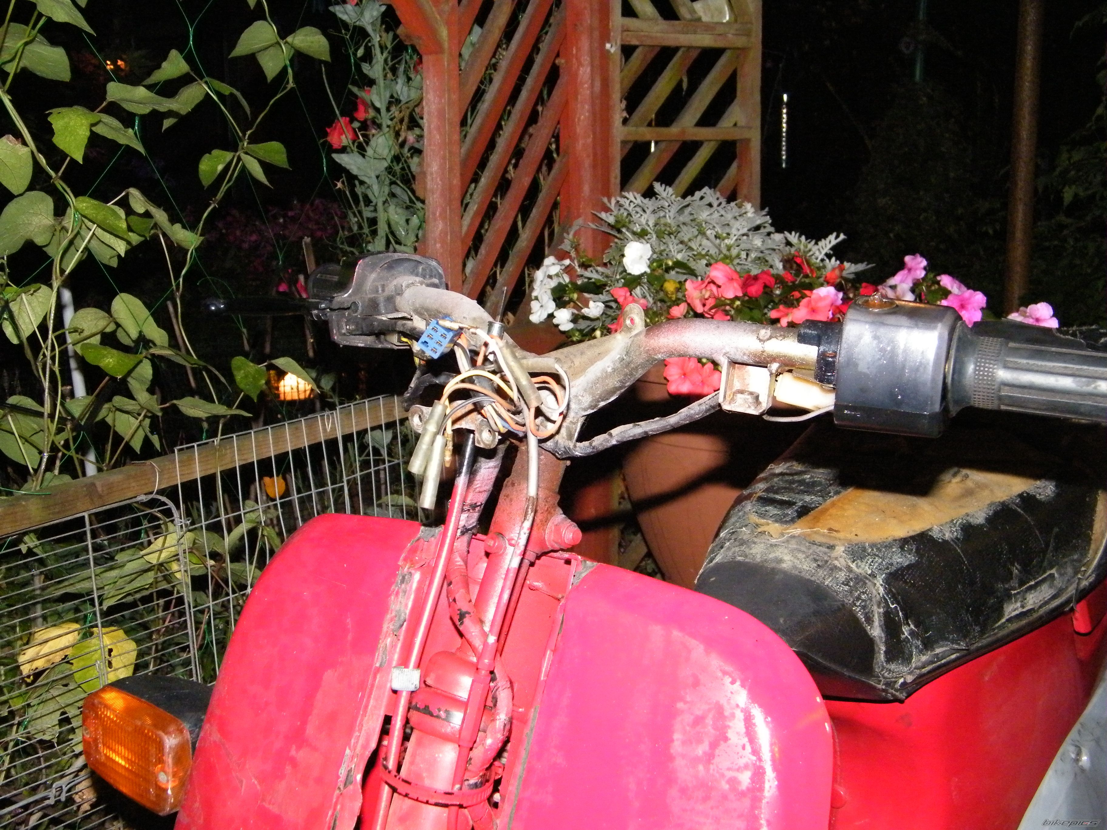 Photo 2065504
