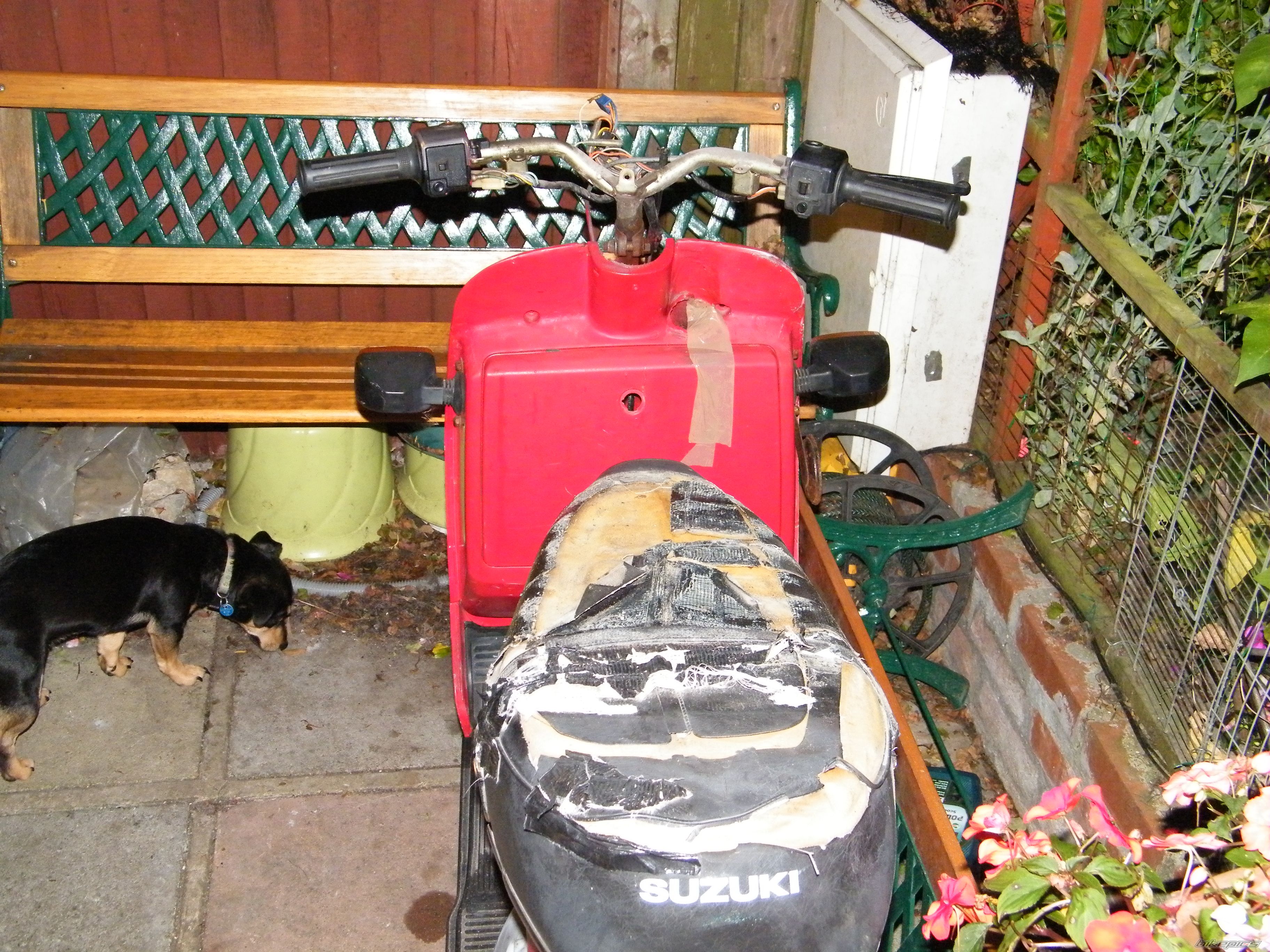 Photo 2065505