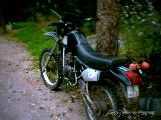 Photo 206552