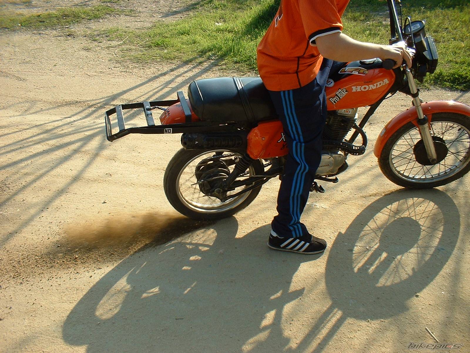 Photo 206562