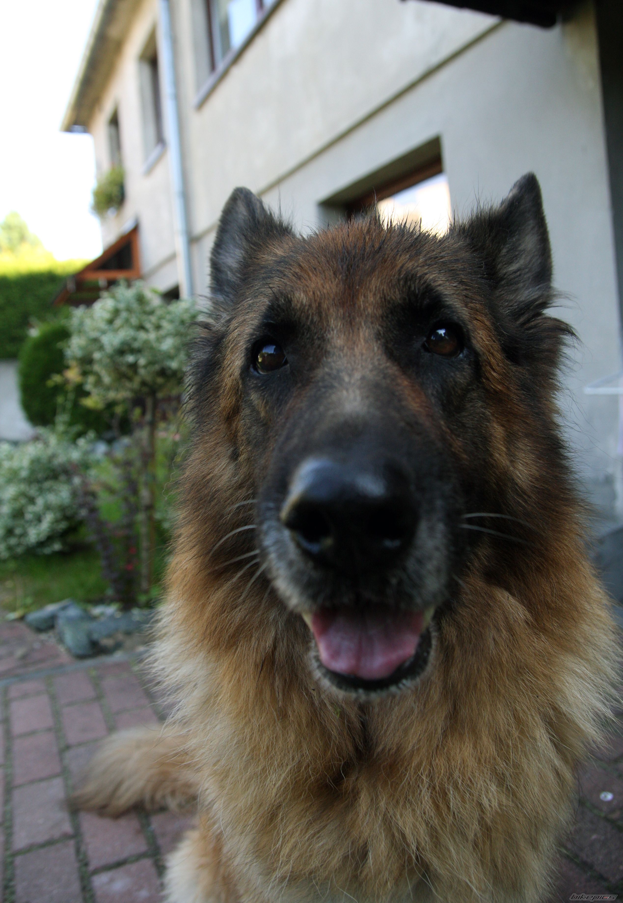 Photo 2065858