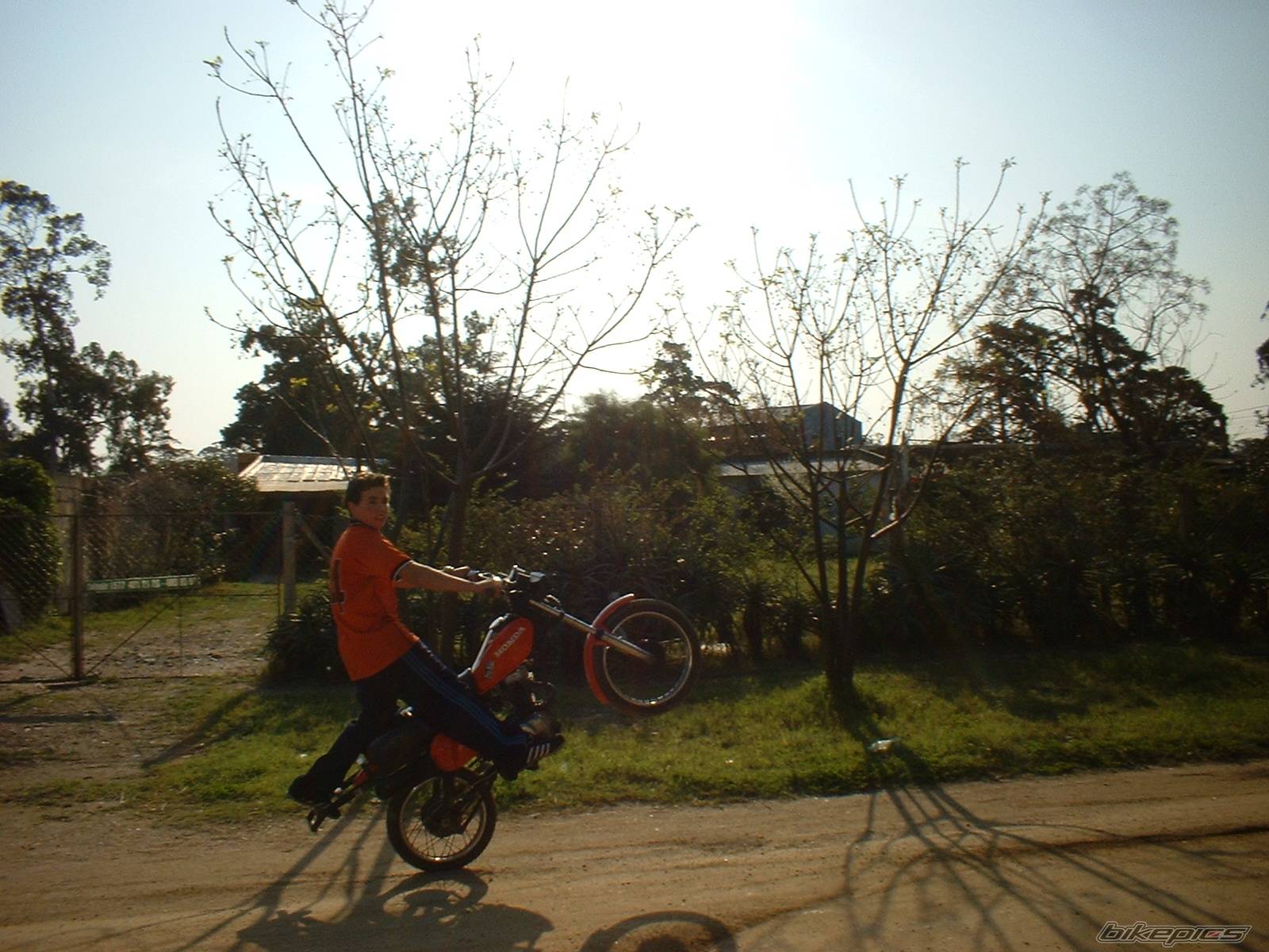 Photo 206587