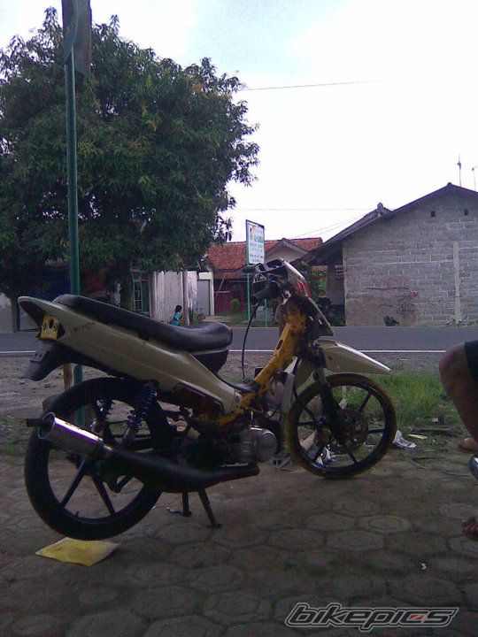 Photo 2065895