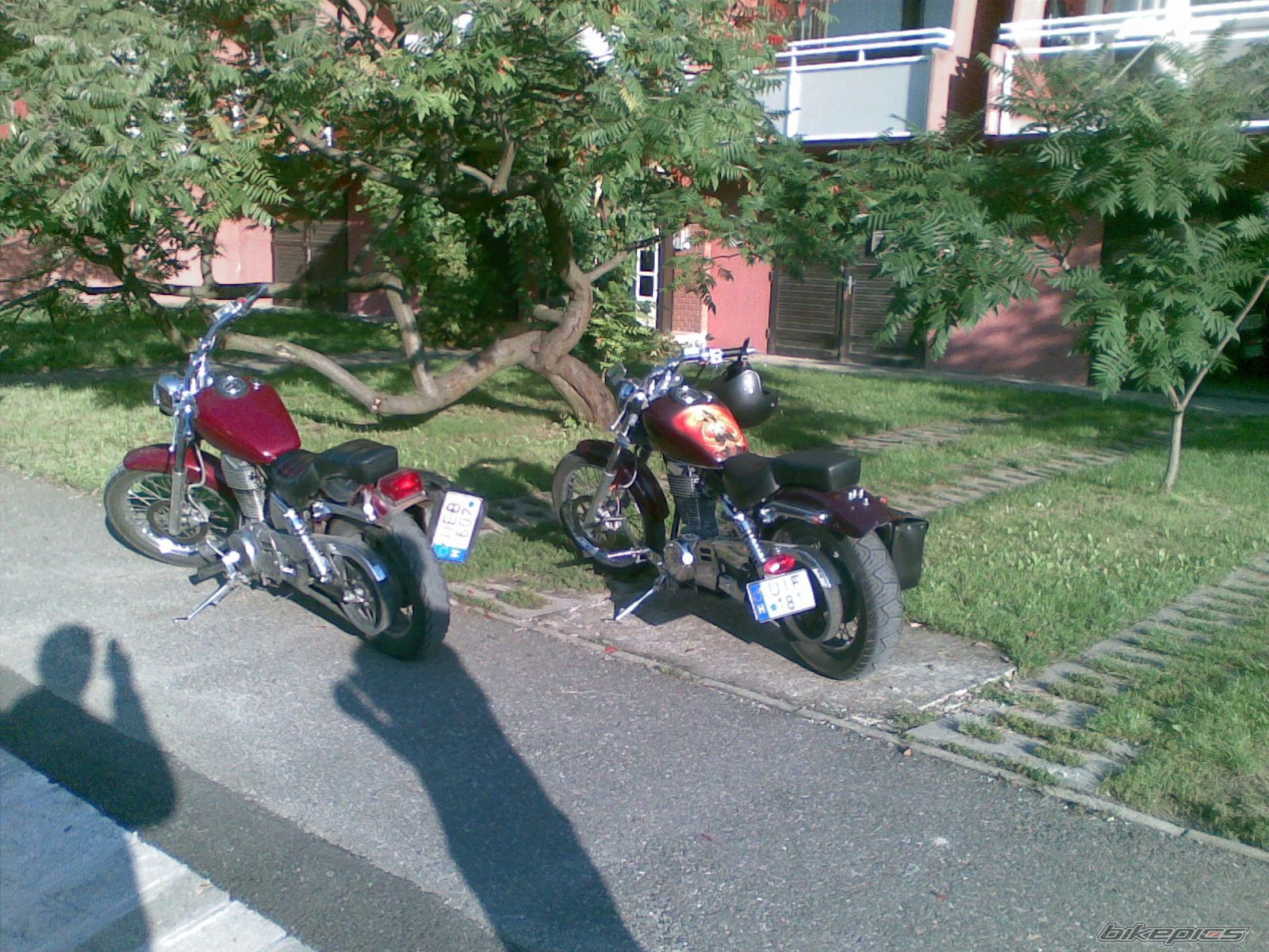 Photo 2065919