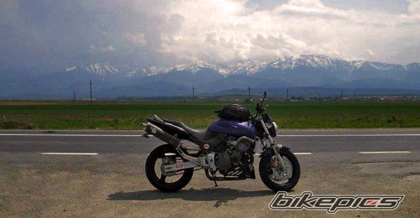 Photo 2065935