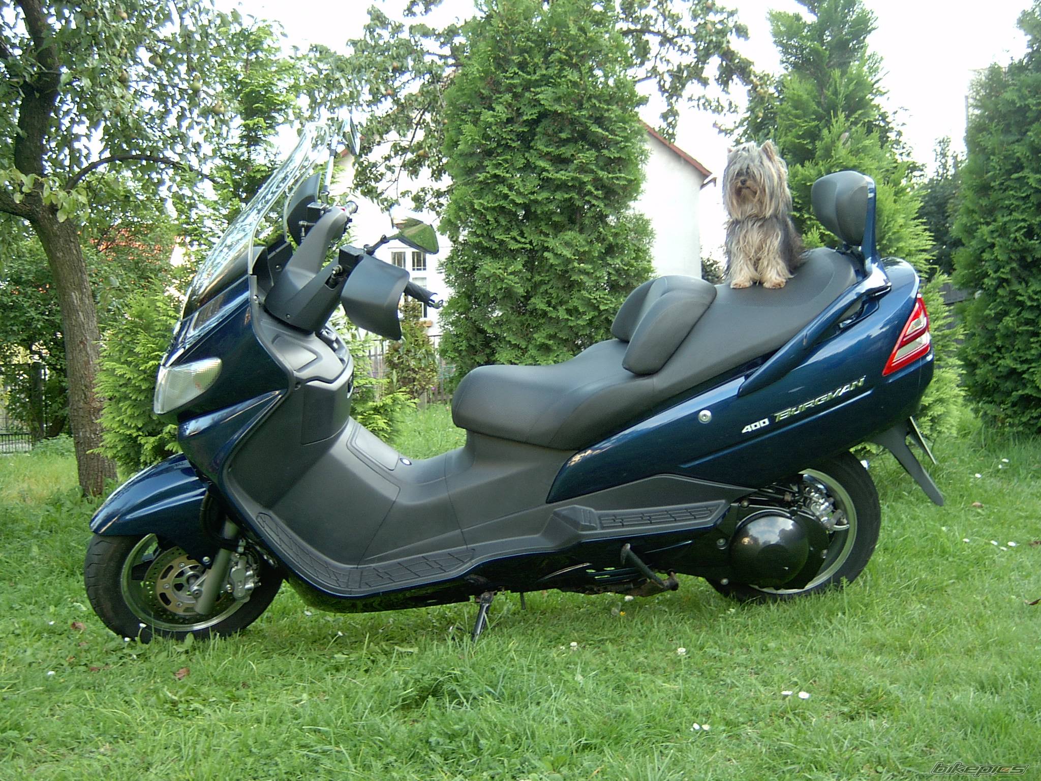 Photo 206595