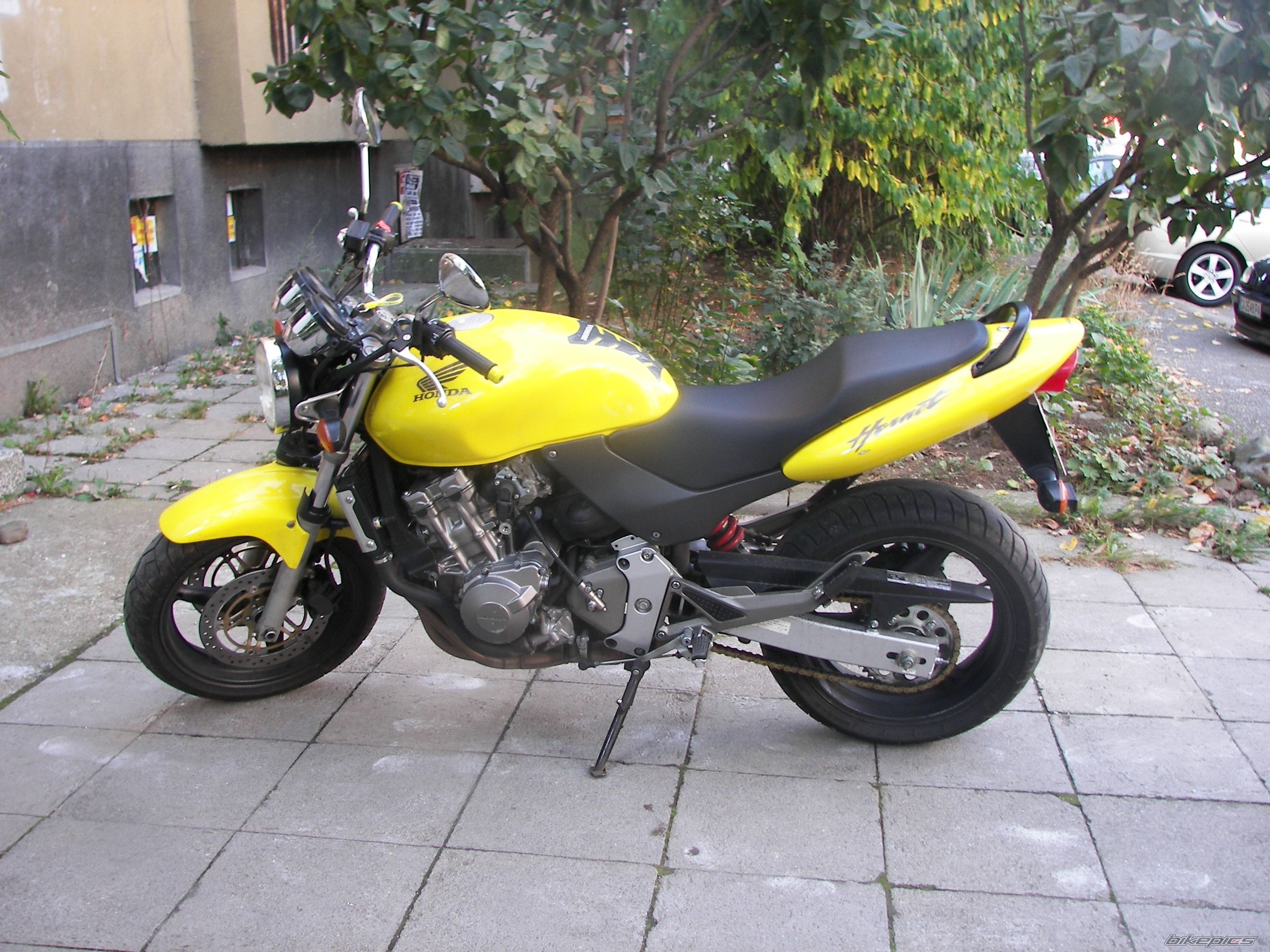Photo 2065952