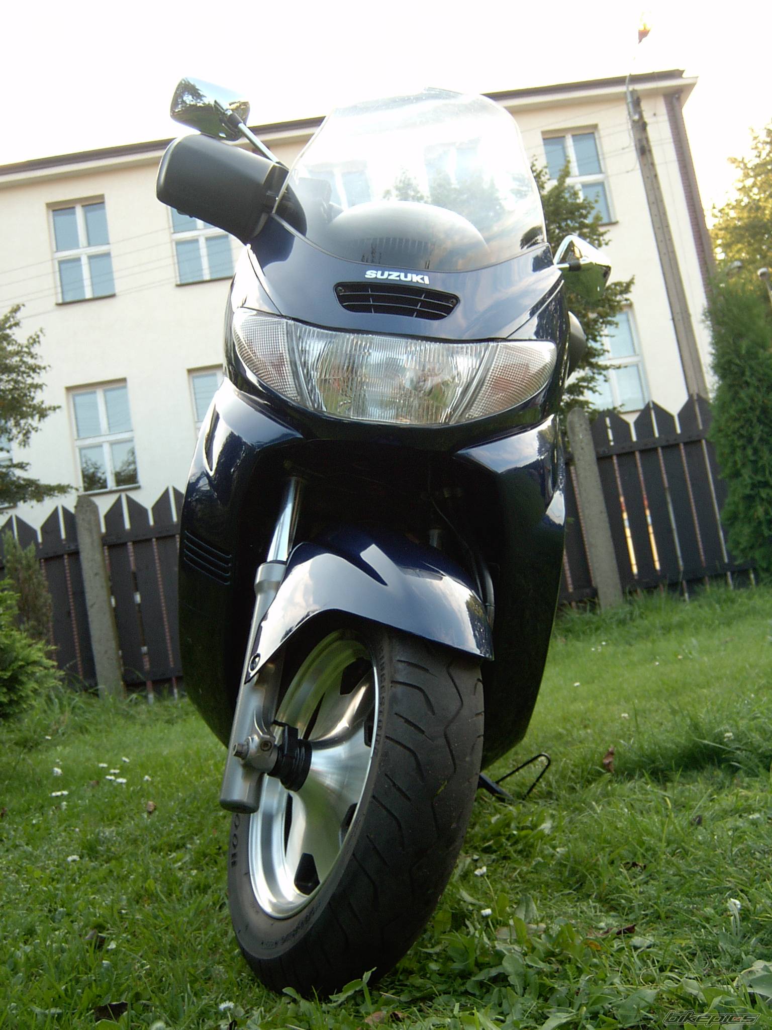 Photo 206617