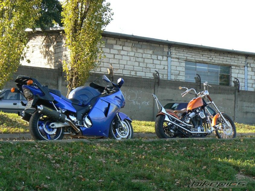 Photo 2066228