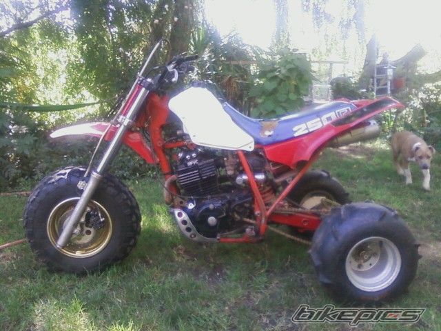 Bike Photo 2066267
