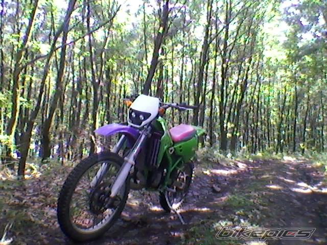 Bike Photo 2066435