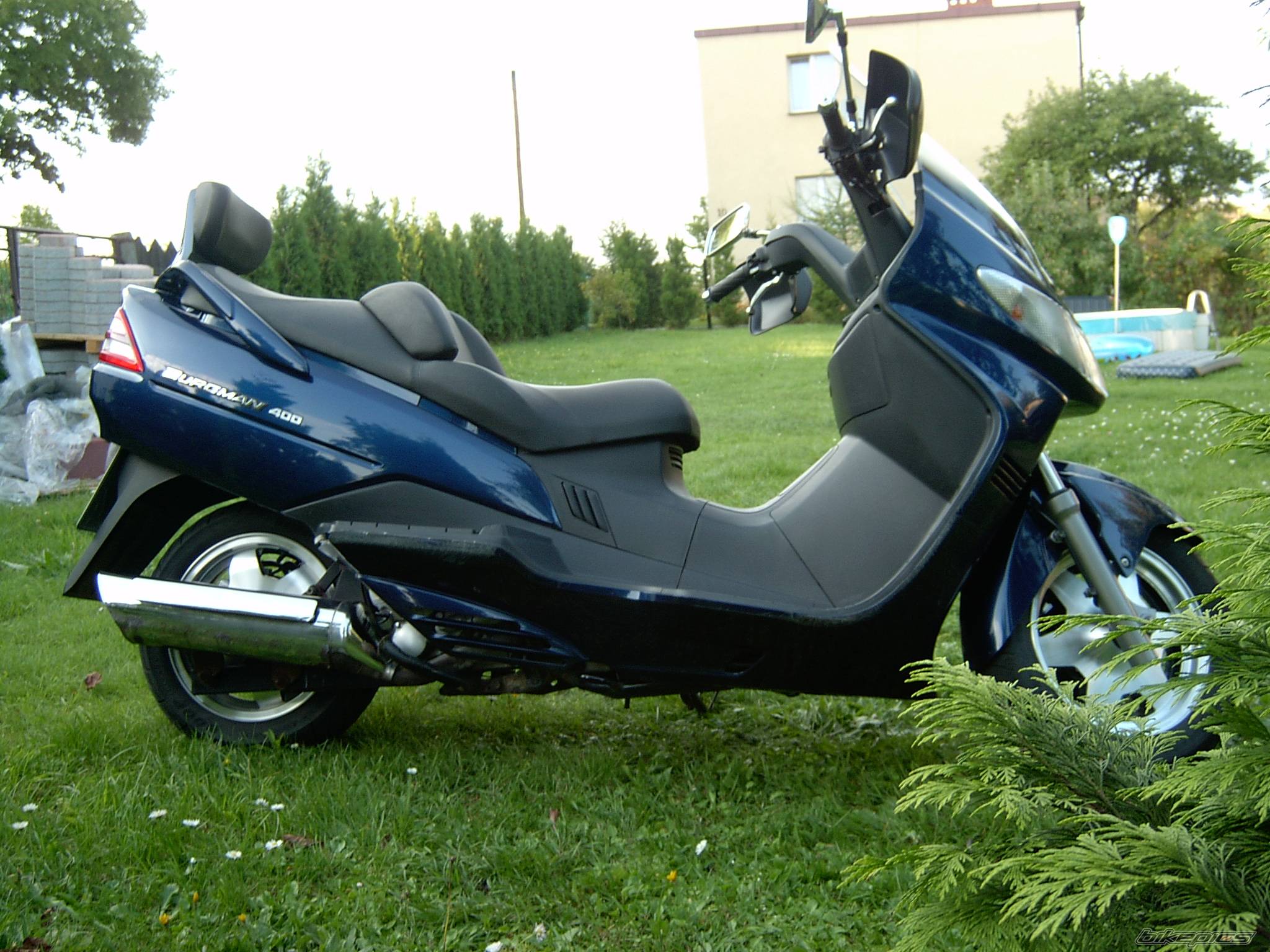 Photo 206652