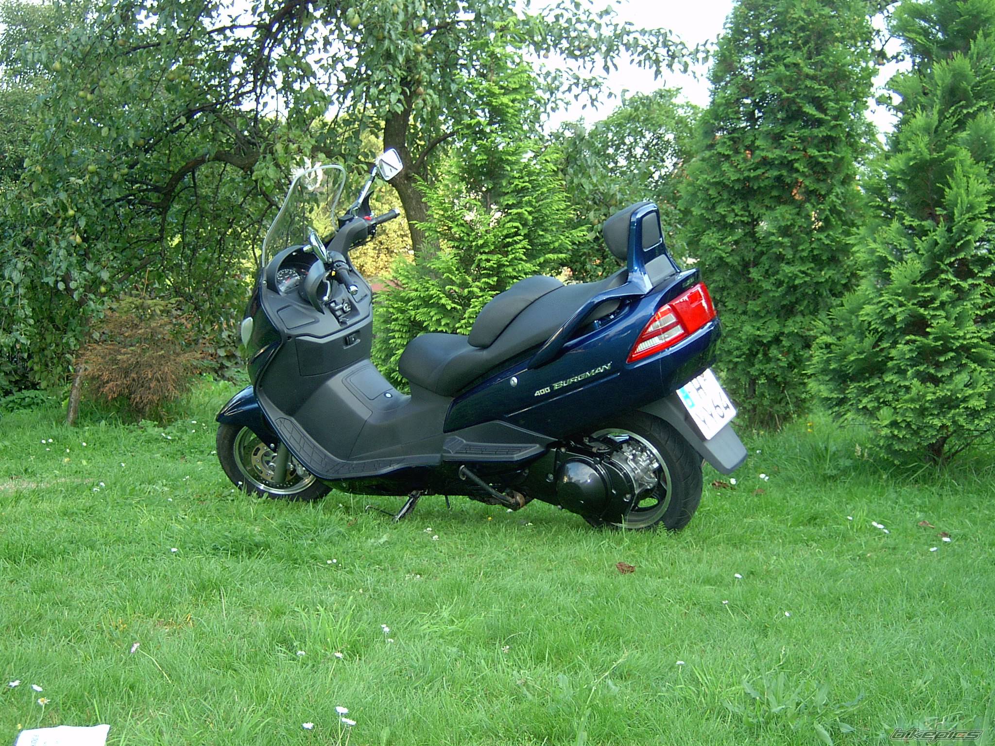 Photo 206656