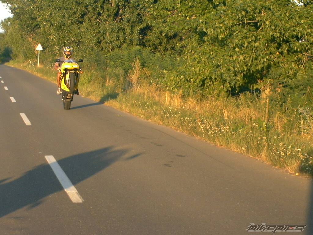 Photo 206662