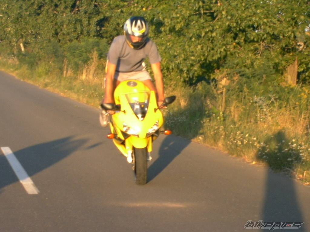 Photo 206667