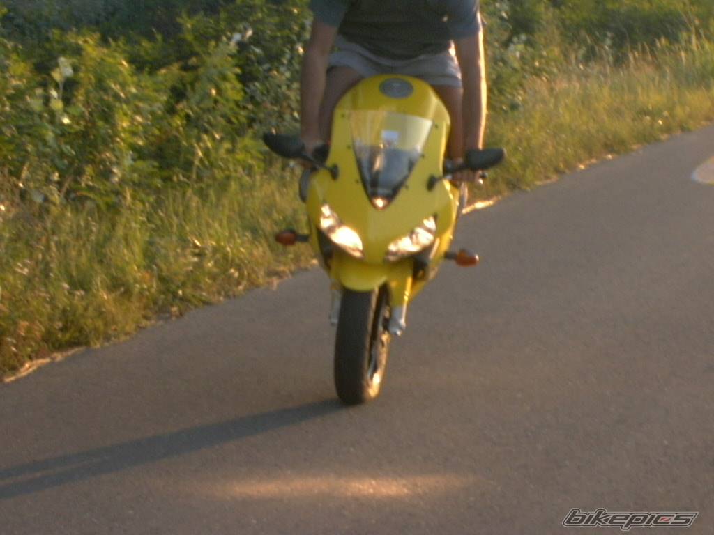 Photo 206674