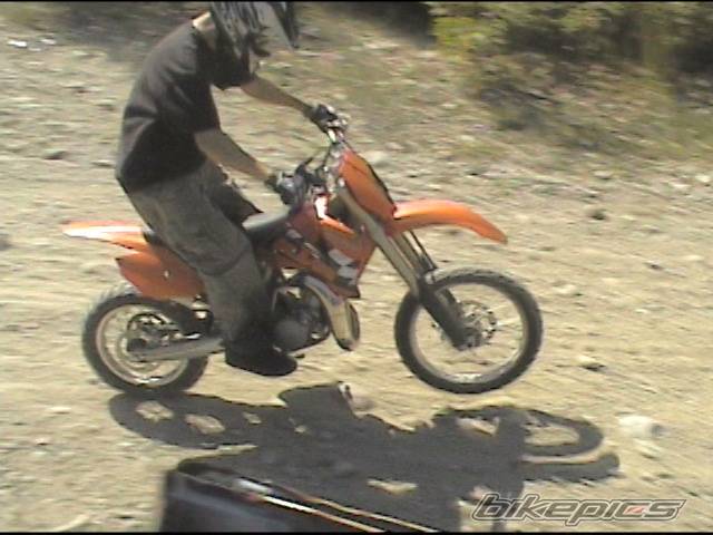 Photo 206678
